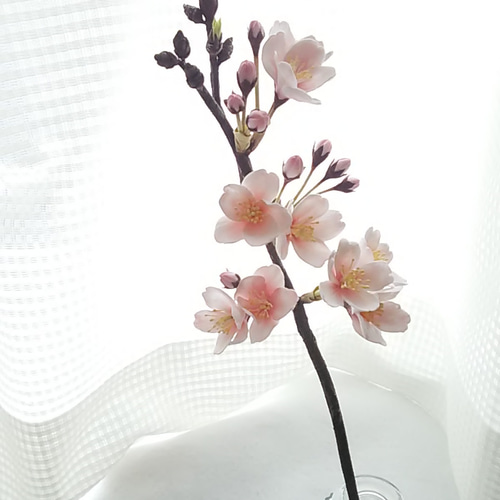 専用 さくら れんげそう ネモフィラ クレイフラワー クレイフラワー ネモフィラ - FLORACLAY'S GALLERY | minne 国内