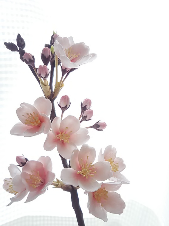 《訂製》❁陶土花櫻花樹一株，室內花，單瓶❁ 第3張的照片