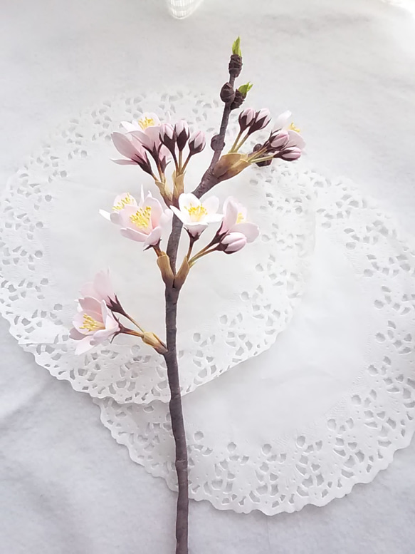 《訂製》❁陶土花櫻花樹一株，室內花，單瓶❁ 第11張的照片