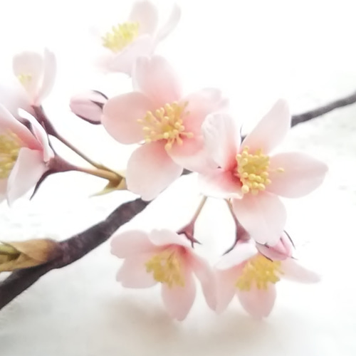受注制作》❁クレイフラワーの桜1本・インテリアフラワー