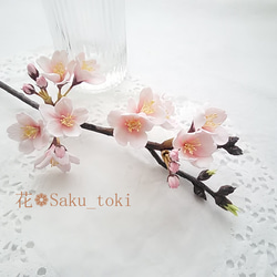 《訂製》❁陶土花櫻花樹一株，室內花，單瓶❁ 第1張的照片