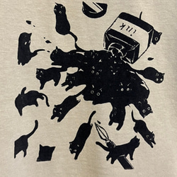  第5張的照片