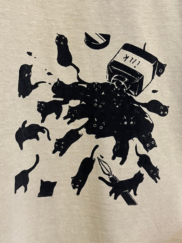 第5張的照片