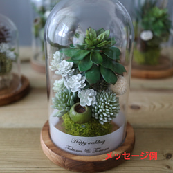 アーティフィシャル 多肉植物のガラスドーム ④ 8枚目の画像