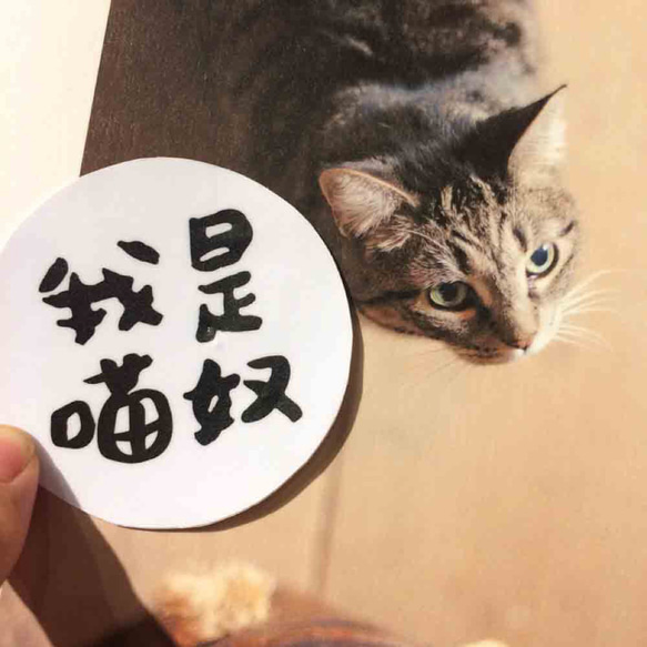 我是貓奴 防水貼紙 Waterproof tank stickers 第1張的照片