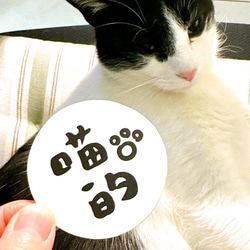 喵的 防水貼紙 Meow Der Waterproof tank stickers 第7張的照片