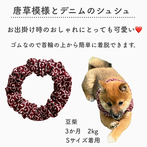 大型犬　犬用フリルシュシュ　クリスマス　レース　可愛い　犬服　おしゃれ　唐草模様 PomPreece 犬服 犬 冬 小型犬 中型犬 犬の服 防寒着 ドッグ