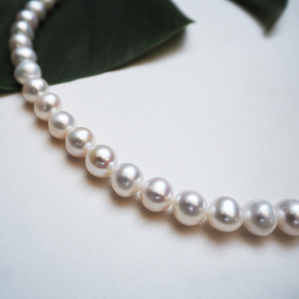 pearl necklace_珍珠項鍊 淡水珍珠 白色珍珠 各尺寸珍珠 客製化 第6張的照片