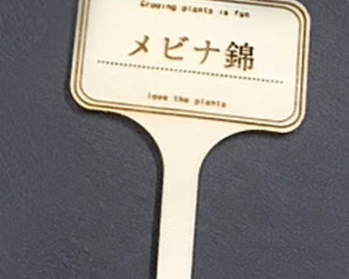 園芸ラベル 多肉植物 名前 オーダーメイド 3個 植物用タグ フラワー