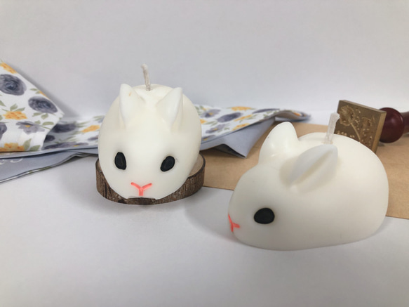 趴趴兔 蠟燭 兔子蠟燭 兔蠟燭 兔子造型蠟燭 小白兔蠟燭 兔子 兔 小白兔 第2張的照片