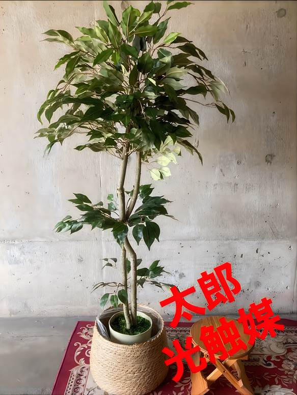 光触媒 人工観葉植物 ウォールグリーン フェイクグリーン
