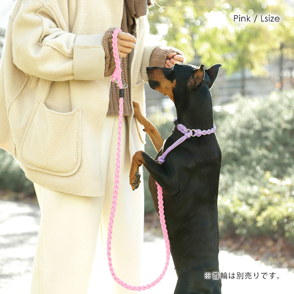 12×２色 リード ハンドメイド 名入れ　散歩 大型犬 中型犬 小型犬 ペット　中#mm00000299 12枚目の画像