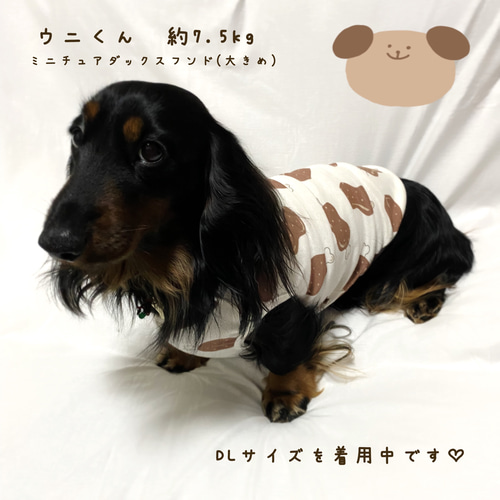 みほ様専用 ハンドメイド 犬服 （犬服の人気通販 | minne 国内