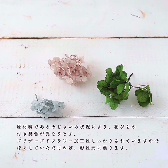 再入荷！Gracias! あじさい・ミストグリーン【 プリザーブドフラワー】グラシアスあじさい〈アジサイ　紫陽花〉 4枚目の画像