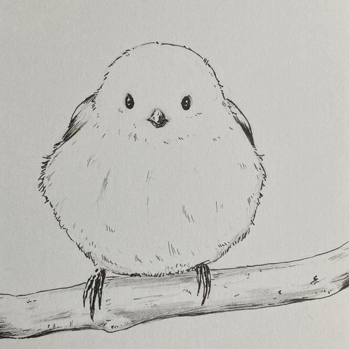 シマエナガ 鳥 アート 絵画 Francesca 通販｜Creema(クリーマ