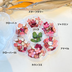 【限定数クリアフラワーケース入り】6種小花＆葉っぱのパーツセット(ピンクカラー) 2枚目の画像