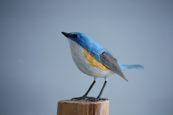 ルリビタキ オス バードカービング 彫刻 KS 通販 15615474