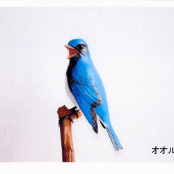 小さなバードカービング イカルとオオルリ 野鳥 木彫 鳥 工作キット バードカービング キット おおるり アイスタジオ D23