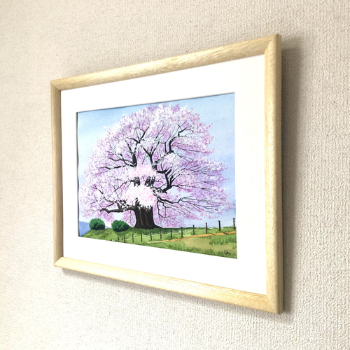 醍醐の桜02」透明水彩画 原画 風景画 額縁付 F4サイズ 絵画 Oni 通販