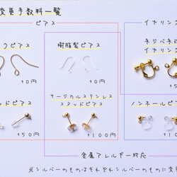  第8張的照片