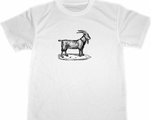 c7ec361cdcb495767198ef349e6728