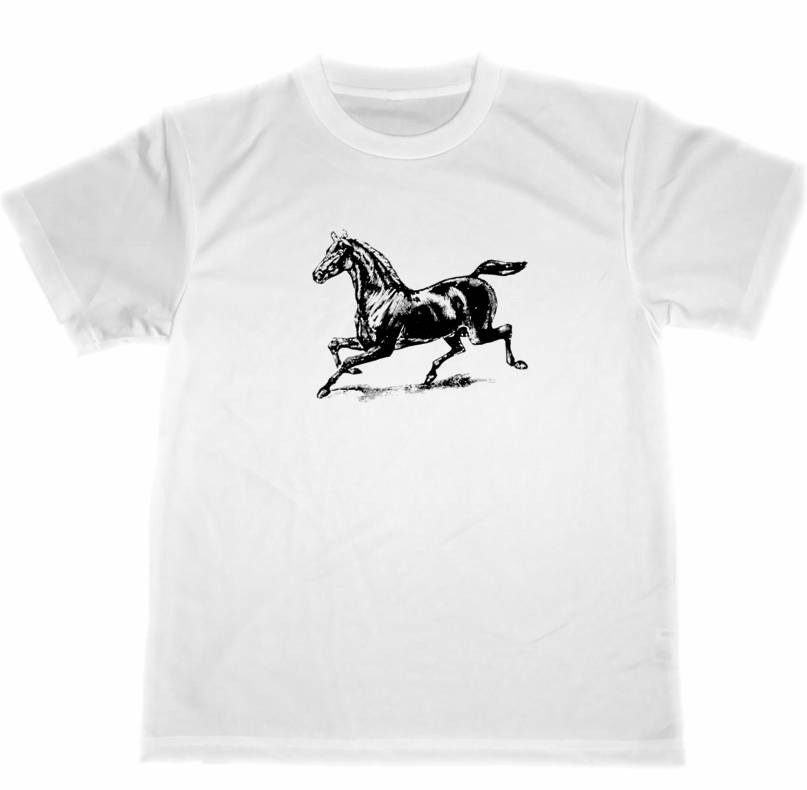 乗馬Tシャツ他3点セット かわカッコいい Tシャツ セリカ ZZT23 ゆうパケット送料無料