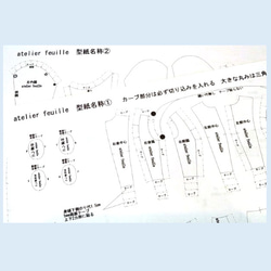  第8張的照片