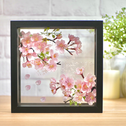 満開の桜 フレームアレンジメント ブラック アートフラワー nozomi