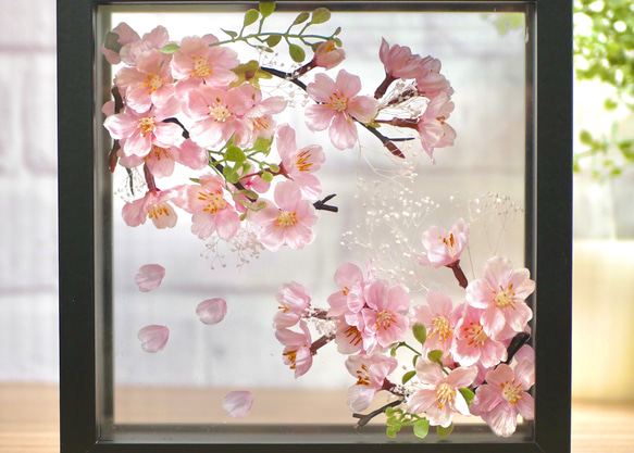 満開の桜　フレームアレンジメント　ブラック 2枚目の画像