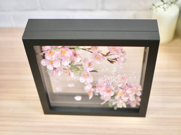 満開の桜　フレームアレンジメント　ブラック 6枚目の画像