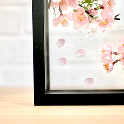 満開の桜　フレームアレンジメント　ブラック 3枚目の画像