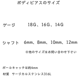 キラキラクマ(小)のボディピアス。つけっぱなしOK✨（ピアスでもご用意しています）サージカルステンレス　軟骨 8枚目の画像