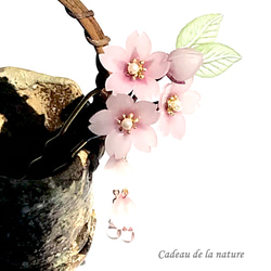 桜（ソメイヨシノ）の二本軸かんざし 5枚目の画像
