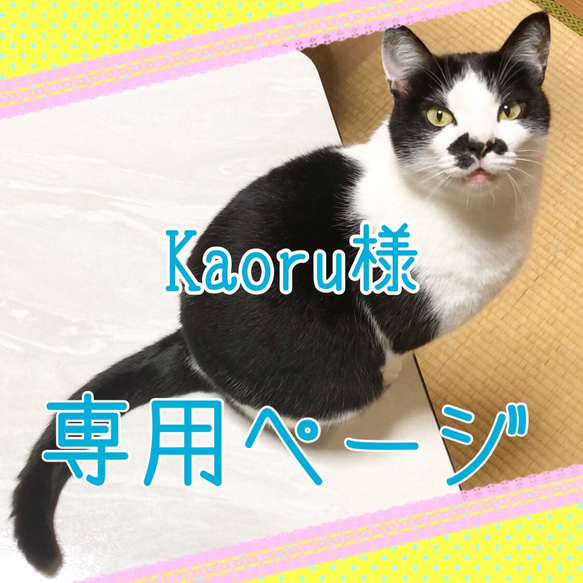 Kaoru様 専用ページ 1枚目の画像