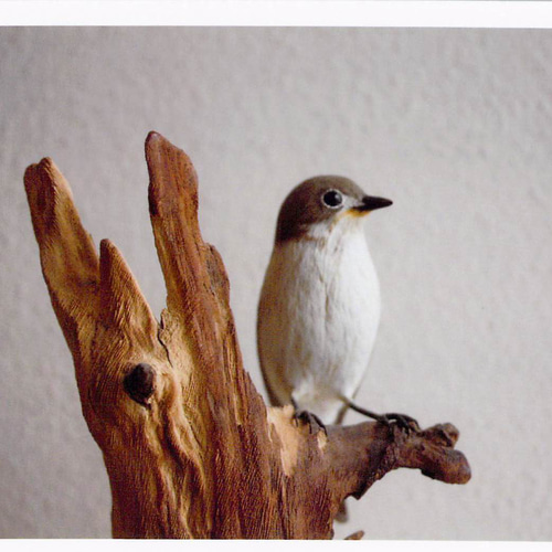 Amazon.co.jp: 大型のチドリ 「ダイゼン」 木彫りの野鳥 バード