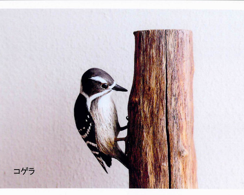 コゲラ バードカービング 彫刻 KS 通販 15620615｜Creema(クリーマ)