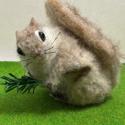 羊毛フェルト　スローロリス 羊毛フェルト スローロリス