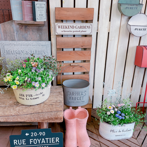 現品SALE♡7種類たっぷり寄せ植え♡【おしゃれガーデニング】フリル