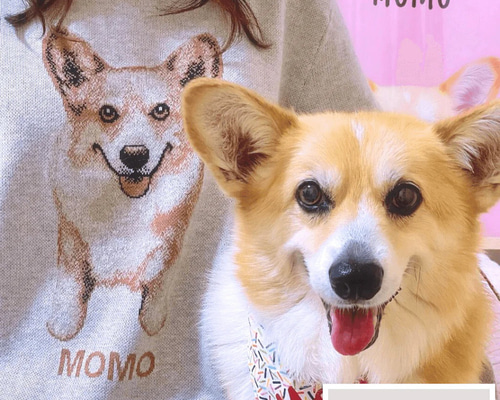 オーダーメイド】ペットといつでも一緒にいられるウチの子ニット