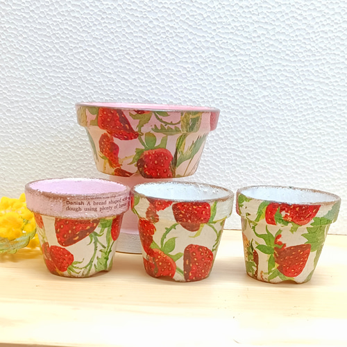 ニュー柄イチゴ リメイク鉢4点セット 多肉植物 taniku－maruko 通販