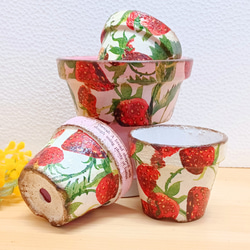 ニュー柄イチゴ リメイク鉢4点セット 多肉植物 taniku－maruko 通販