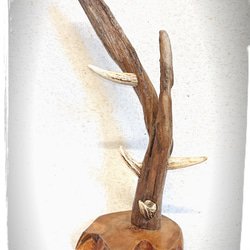 鹿の角アクセサリースタンド その他家具 翡翠 /Crafty Soda 通販