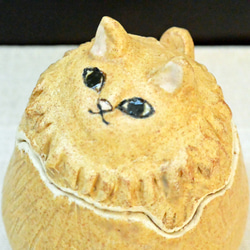 猫のシュガーポット　シュガーキャット　黄色　ねこ・猫　手作り陶芸・陶器　食器・小物入れ・置き物 9枚目の画像