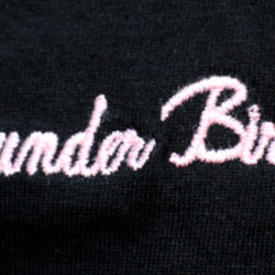半袖ポケット付きＴシャツ 刺繍 綿 コットン "Thunder Bird" W-23009 ブラック 6枚目の画像