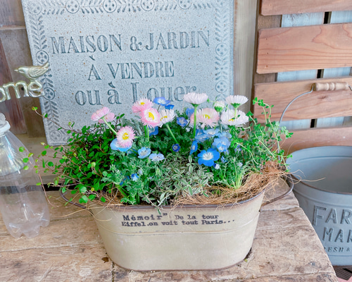 ポリカーボネイト製キッチンポット つぼみたくさん♩ナチュラルな寄せ