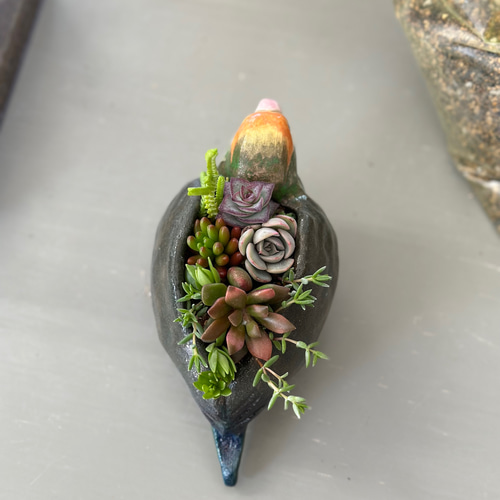 可愛い小桜インコの植木鉢&受け皿 その他インテリア雑貨 やよい窯 通販