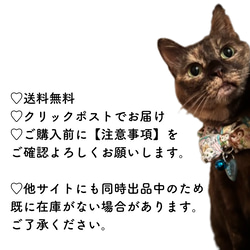 猫ちゃん用 シュシュ 首輪 いちご ブルー 水玉 リボン 鈴 【送料無料】 5枚目の画像