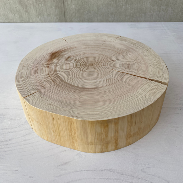 檜切り株高さ約19.5㎝