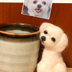 【１万円OFF】 オーダー 羊毛フェルト 犬 ハンドメイド ぬいぐるみ ペットロス うちの子 BonBon☆Sucre 6枚目の画像