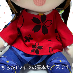 【受注製作】ぬいぐるみの服　Tシャツ 1枚目の画像